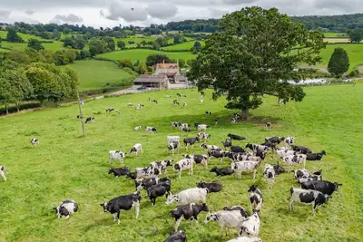 Image de Owls Nest Barn - sleeps 9 guests  in 4 bedrooms