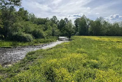 Image de River Stone Farmhouse on 35 acres with trout stream