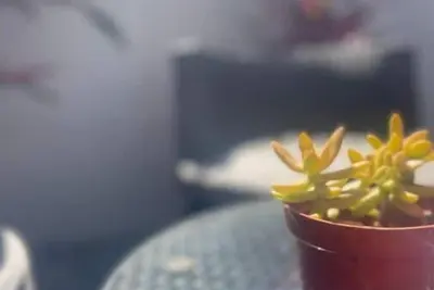 Image de Walk to Beach Apt. 1 Cabarete