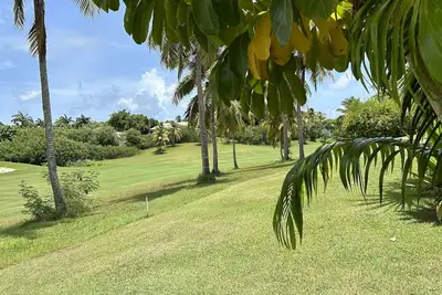 Image de Appartement Le Lotus en bordure de Golf international vue dégagée sur le green