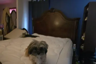 Image de Country home rustic. beach, hiking nearby <br>3 rooms ramp.