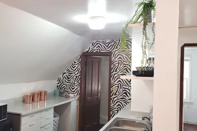 Image de Ana Maria del Azul Dt Minneapolis Us Bank Stadium