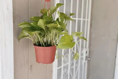 Image de Happy Cozy house, private