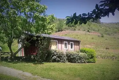 Image de Chalet de la Frégière Vigne