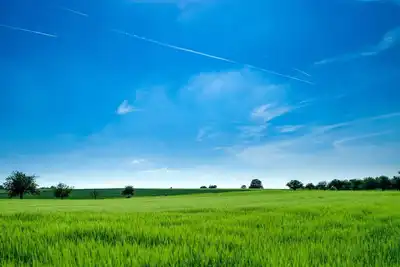 Image de Upscale Room Near Edison Convention Center