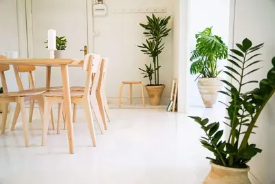 Image de Dreamy White Minimalist 2 Bed/Bath with Garden