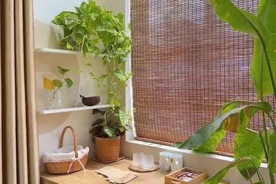 Image de [New & Near beach] Studio Apartment ✯ Free laundry ✯ Rooftop Garden