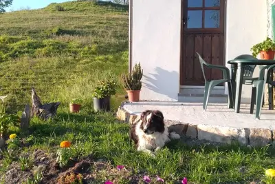 Image de Casa El Collau