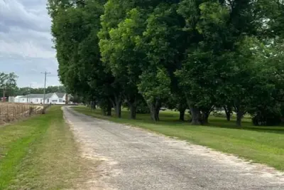 Image de Cotton Top Farm