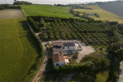Image de Little house among the olive trees