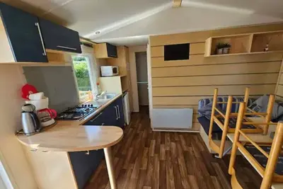 Image de Modern Mobilome