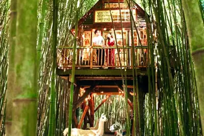 Image de Alpaca Treehouse in the Bamboo Forest