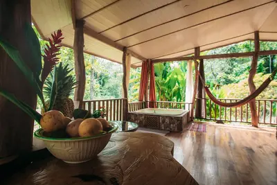 Beautiful Cabin Surroundet by Nature in Cahuita