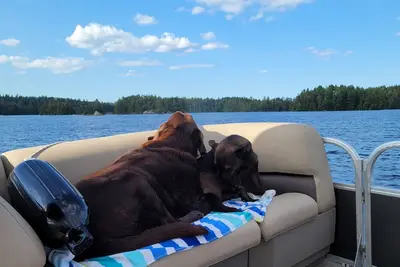 Image de Perfectly located between Lake Placid and Saranac Lake, Dog Friendly.
