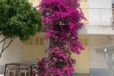 Image de Appartement rénové dans villa avec jardin