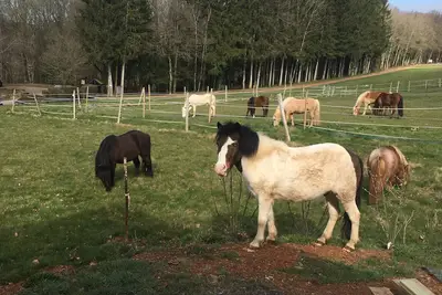 Image de Maison de vacances 'Gîte Le Clos Du Bannet' avec Wi-Fi