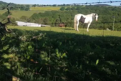 Image de 2 bed cottage - vg walking & mountain biking area.