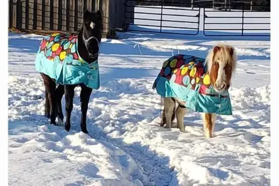 Image de Beautiful Country Retreat