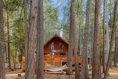 Image de New - Lassen Tree Cabin with Hot Tub