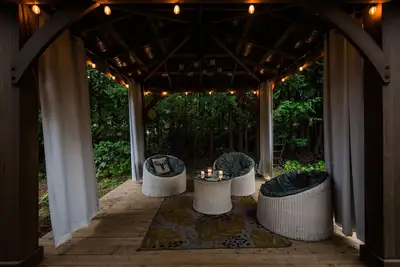 Image de Le Petit Suisse