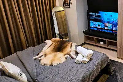 Image de Chic 2br End Unit with King Bed, Fast Wi-fi Free Parking~Mall of Asia\n