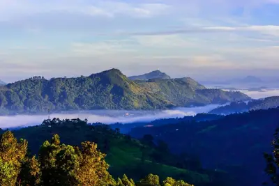 Image de Eco friendly luxury boutique resort located private colonial tea estate