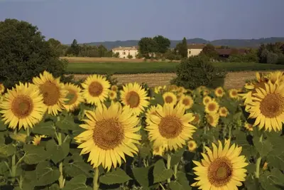 Image de Maison Elise, Southern France Country Home