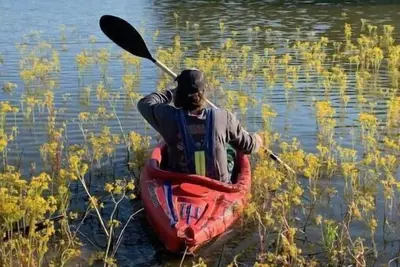Image de River Bliss Cottage. Short stroll to Lake Barkley.