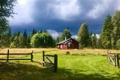 Image de Deceleration In the deep forests of Småland