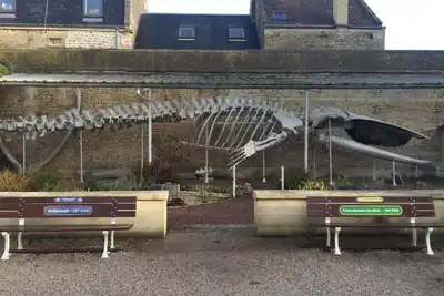 Image de Maison de pêcheur à 30metres de la plage.