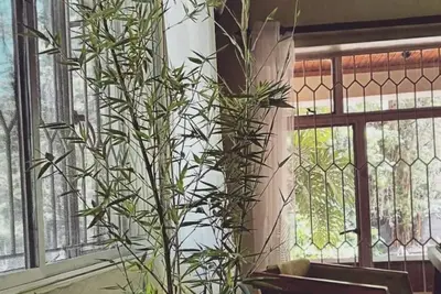 Image de Vines Home\n