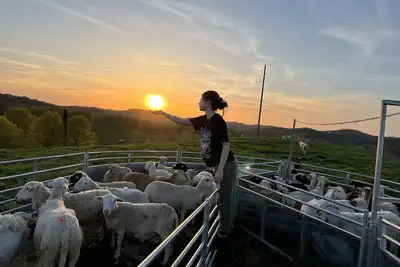 Image de Shepherd’s View: A spacious House in Duck, Wv. Now equipped with Starlink.