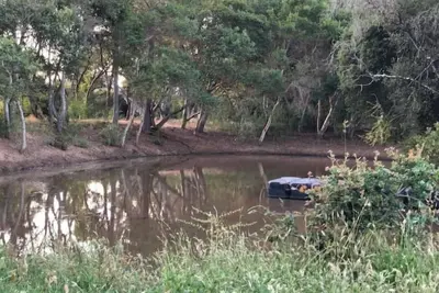 Image de Cozy tiny home in Aptos wine country 30 day min