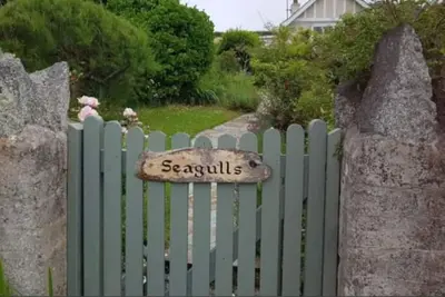 Image de Seagulls Porthcothan Bay only - 300 yards from the beach.