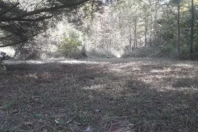 Image de The Duck Pond (Byo tent camp) - very private, pet friendly, max 8 people/4 tents