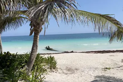 Image de Beachfront Tropical Retreat with Chef included