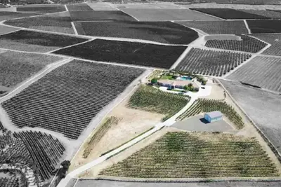 Image de Life Among the Vines