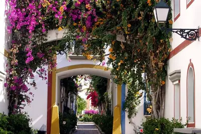 Image de Appartement d'une chambre à Puerto Mogan par El Sirocco