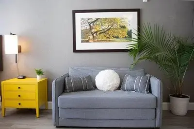 Image de Affordable Vibrant Austin Living