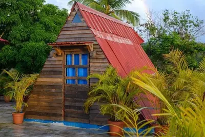 Image de Petit chemin Coco Paradise