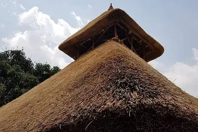 Image de Tree and Mud House