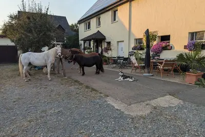 Cozy vacation apartment on Hellwiges Hof with dog/horse Medebach / Sauerland