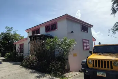 Image de The Yellow Flamingo at Flamingo Gardens