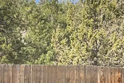 Image de Nw Bend House on 2. 5 acre wooded lot in quiet wooded with mountain views.