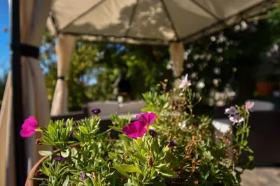 Image de Appartement de trois chambres avec la terrasse Palit, Rab (A-21755-a)