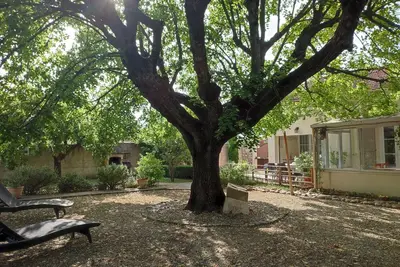 Image de Le gîte du Tilleul