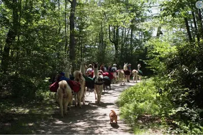 Image de Reconnect with nature while in a fantastic paradise like Sapphire!