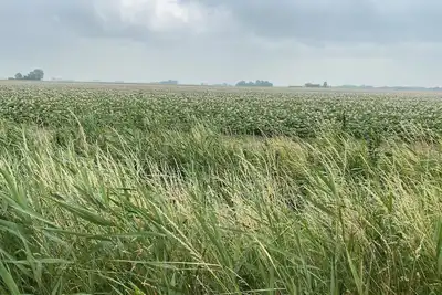 Image de GemĂĽtliches Woonboot in Einer Herrlichen Landschaft in der Region Groningen