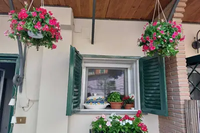 Image de La Pigna. An oasis of peace in the center of the nightlife.