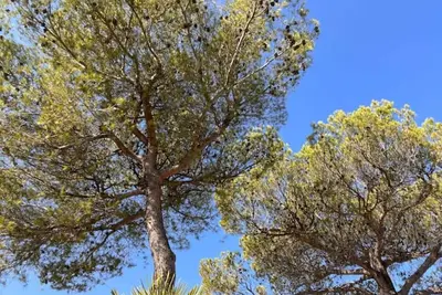 Image de Villa La Passiflore